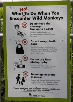 Screen Shot 2015-06-29 at 6.01.28 PM