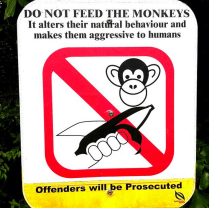 Screen Shot 2015-06-29 at 7.44.28 PM