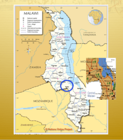 Screen Shot 2017-08-16 at 11.55.26 PM